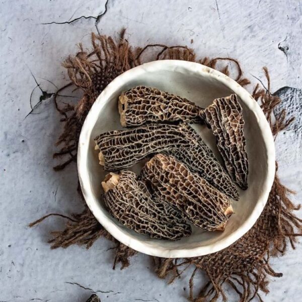 Morels – Morchella | 50 grams