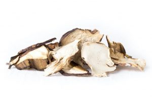 boletus boletus