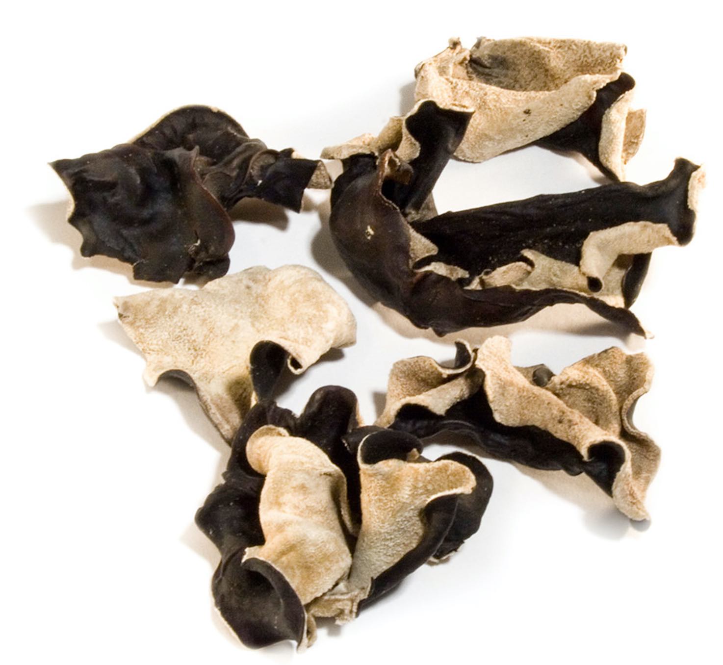 Wood Ear – Organic Goods LTD